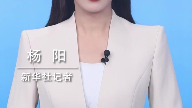 人工智能应用：揭秘最新产品选型逻辑